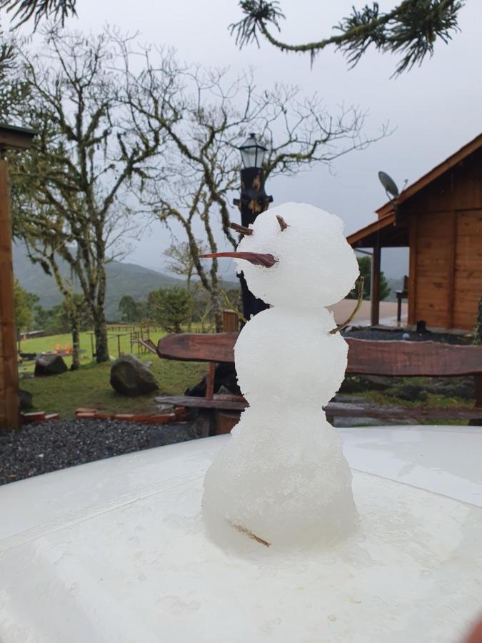 Flocos De Neve *