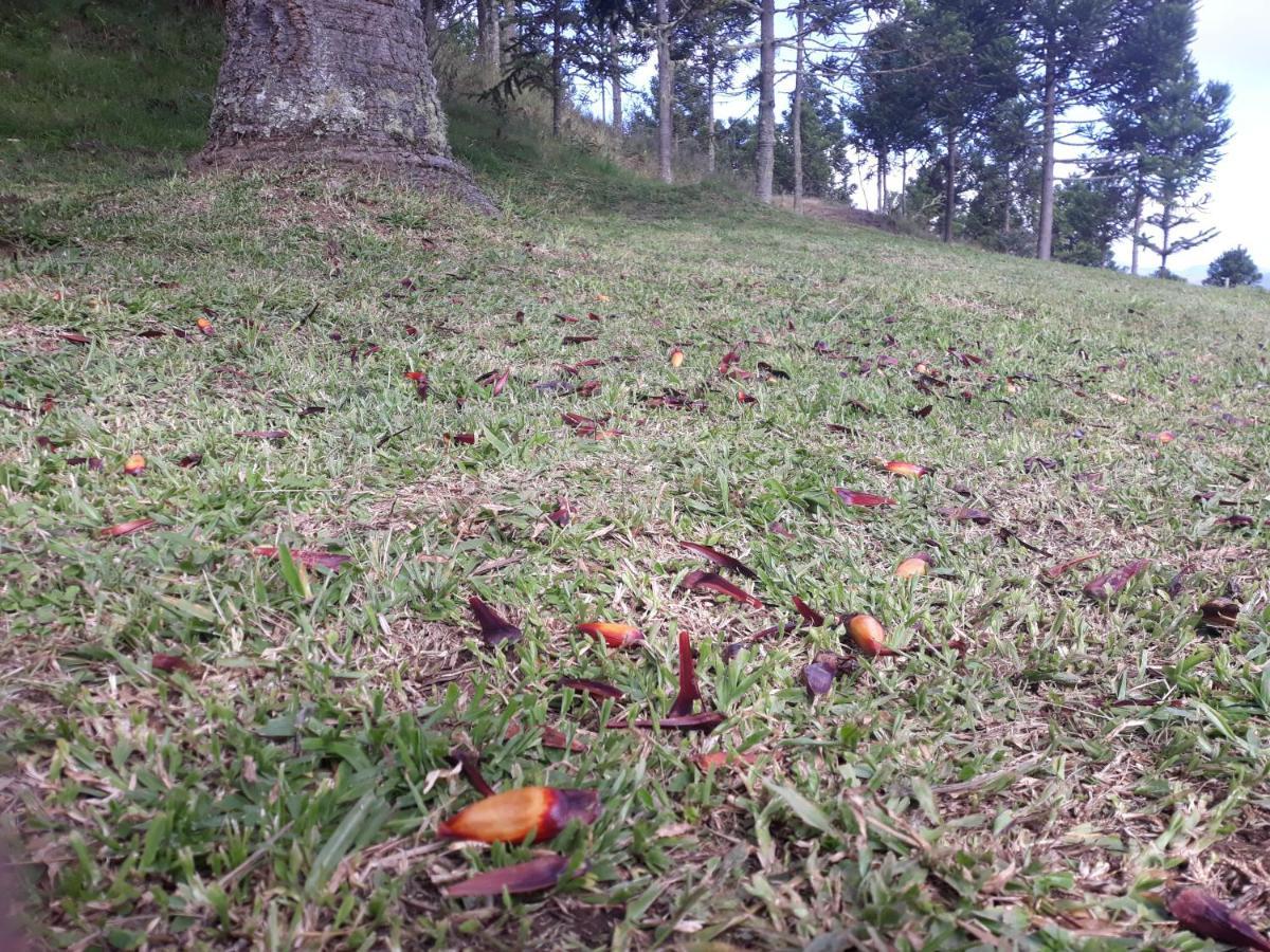 Flocos De Neve Chalet Urubici
