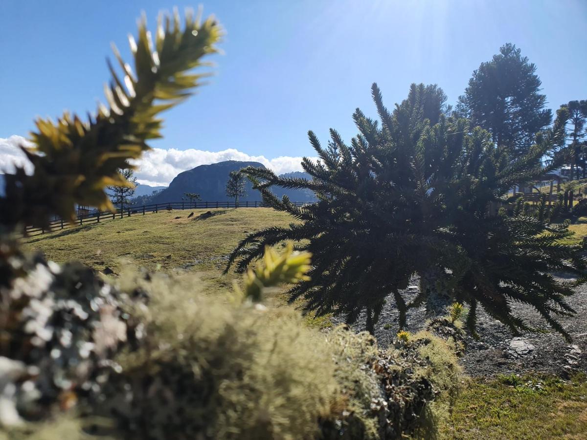 Flocos De Neve