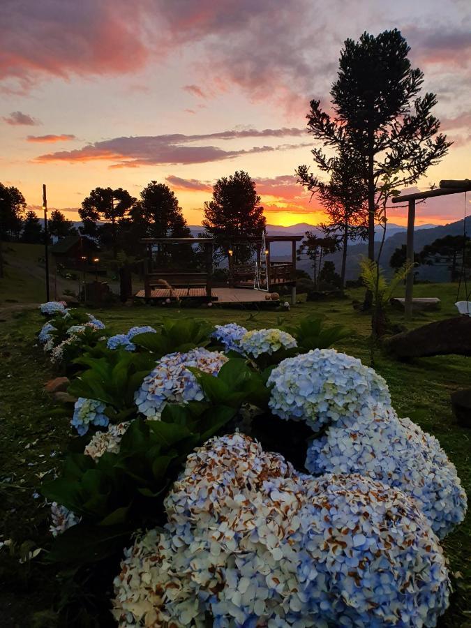 Flocos De Neve *